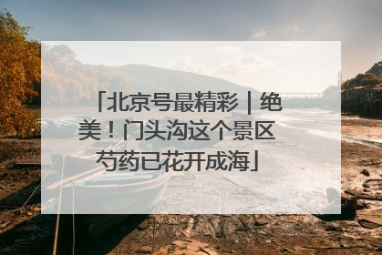 北京号最精彩｜绝美！门头沟这个景区芍药已花开成海