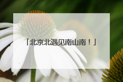 北京北遇见南山南！