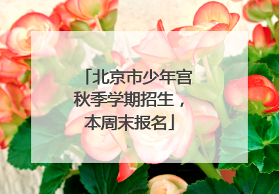 北京市少年宫秋季学期招生，本周末报名