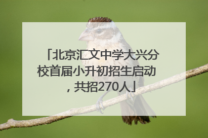 北京汇文中学大兴分校首届小升初招生启动，共招270人