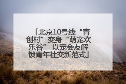 北京10号线“青创村”变身“萌宠欢乐谷” 以宠会友解锁青年社交新范式