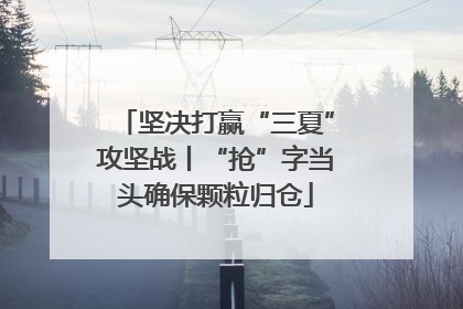 坚决打赢“三夏”攻坚战丨“抢”字当头确保颗粒归仓