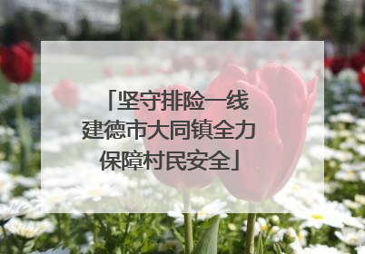 坚守排险一线 建德市大同镇全力保障村民安全