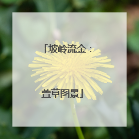 坡岭流金：萱草图景
