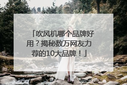 吹风机哪个品牌好用？揭秘数万网友力荐的10大品牌！