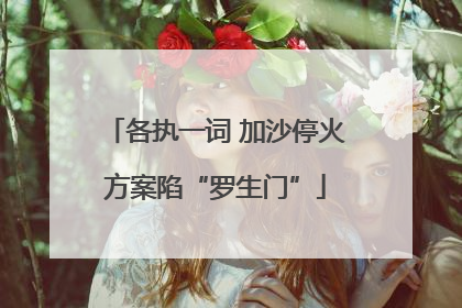 各执一词 加沙停火方案陷“罗生门”