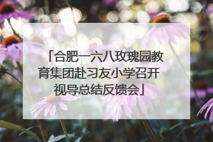 合肥一六八玫瑰园教育集团赴习友小学召开视导总结反馈会