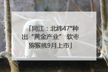 同江：北纬47°种出“黄金产业” 软枣猕猴桃9月上市