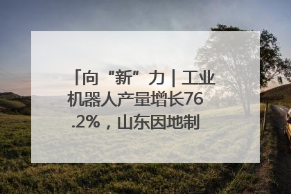 向“新”力｜工业机器人产量增长76.2%，山东因地制宜发展新质生产力