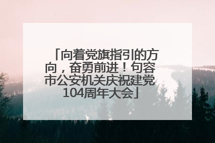向着党旗指引的方向，奋勇前进！句容市公安机关庆祝建党104周年大会