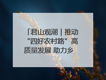 君山观潮｜推动“四好农村路”高质量发展 助力乡村振兴出新彩