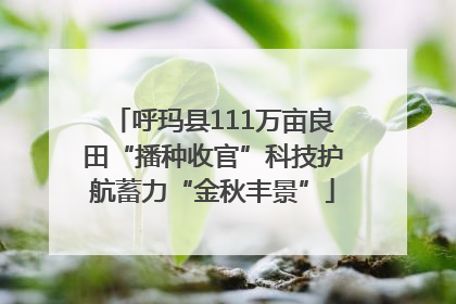 呼玛县111万亩良田“播种收官”科技护航蓄力“金秋丰景”