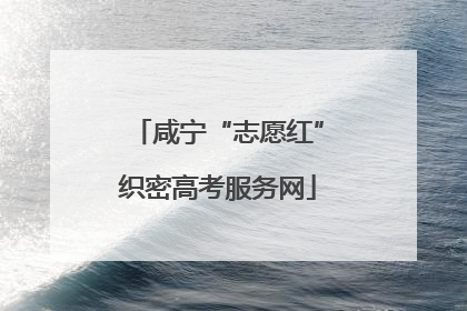 咸宁“志愿红”织密高考服务网