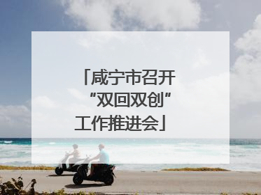 咸宁市召开“双回双创”工作推进会