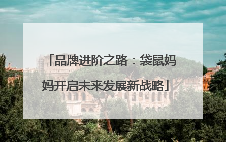 品牌进阶之路：袋鼠妈妈开启未来发展新战略