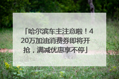 哈尔滨车主注意啦！420万加油消费券即将开抢，满减优惠享不停