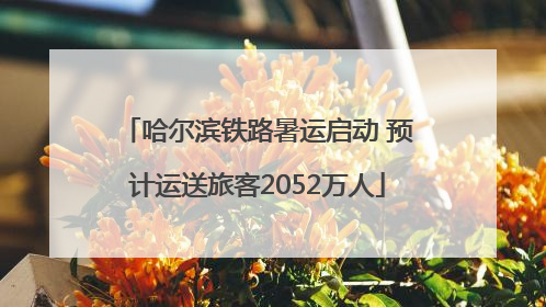 哈尔滨铁路暑运启动 预计运送旅客2052万人