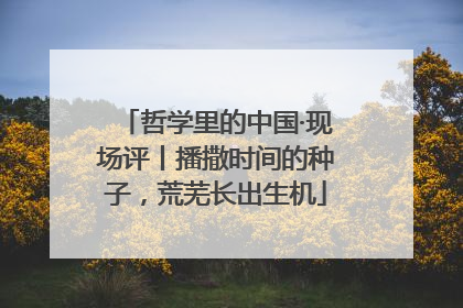 哲学里的中国·现场评丨播撒时间的种子，荒芜长出生机
