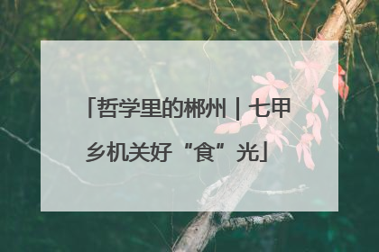 哲学里的郴州｜七甲乡机关好“食”光