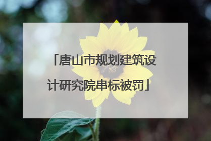 唐山市规划建筑设计研究院串标被罚