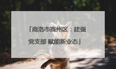 商洛市商州区：建强党支部 赋能新业态