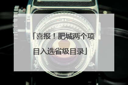 喜报！肥城两个项目入选省级目录