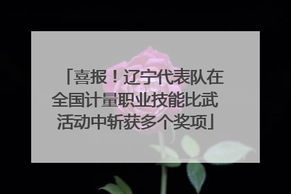 喜报！辽宁代表队在全国计量职业技能比武活动中斩获多个奖项