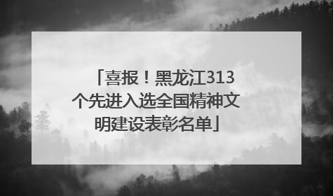 喜报！黑龙江313个先进入选全国精神文明建设表彰名单
