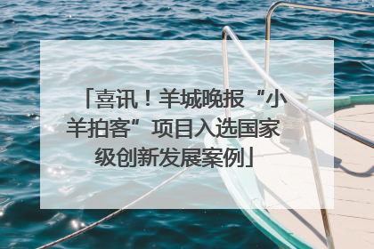 喜讯！羊城晚报“小羊拍客”项目入选国家级创新发展案例