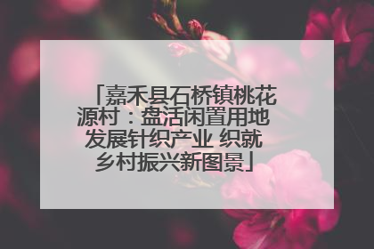 嘉禾县石桥镇桃花源村：盘活闲置用地发展针织产业 织就乡村振兴新图景