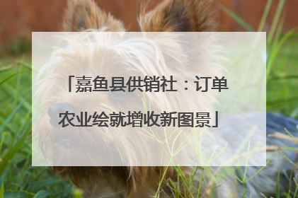 嘉鱼县供销社：订单农业绘就增收新图景