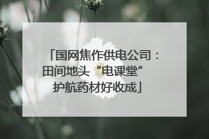 国网焦作供电公司：田间地头“电课堂” 护航药材好收成