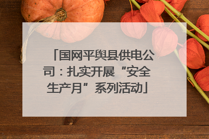 国网平舆县供电公司：扎实开展“安全生产月”系列活动