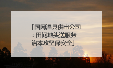 国网温县供电公司：田间地头送服务 治本攻坚保安全
