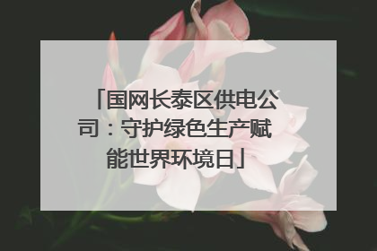 国网长泰区供电公司：守护绿色生产赋能世界环境日
