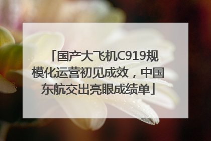 国产大飞机C919规模化运营初见成效，中国东航交出亮眼成绩单