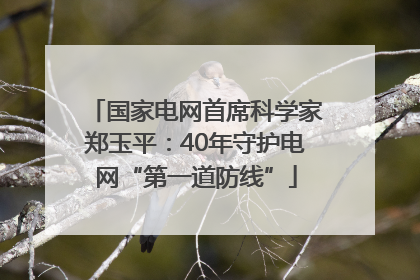 国家电网首席科学家郑玉平：40年守护电网“第一道防线”