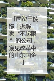 国资三棱镜｜拆解一家“不起眼”的公司，窥见改革中的山东国企