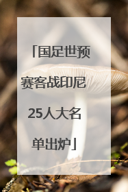 国足世预赛客战印尼25人大名单出炉