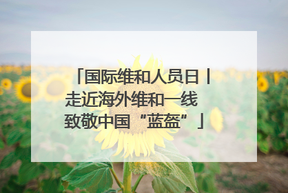 国际维和人员日丨走近海外维和一线 致敬中国“蓝盔”