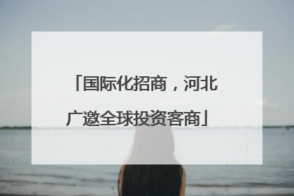 国际化招商，河北广邀全球投资客商