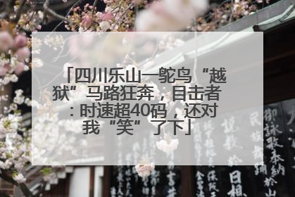 四川乐山一鸵鸟“越狱”马路狂奔，目击者：时速超40码，还对我“笑”了下