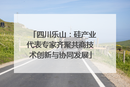 四川乐山：硅产业代表专家齐聚共商技术创新与协同发展