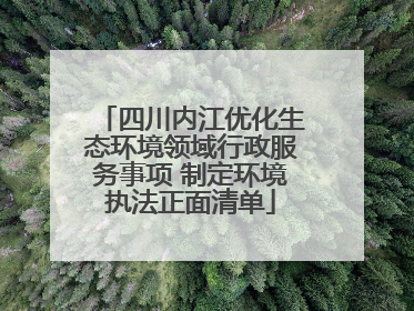 四川内江优化生态环境领域行政服务事项 制定环境执法正面清单