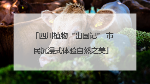 四川植物“出国记” 市民沉浸式体验自然之美