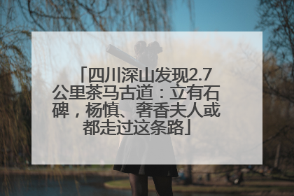 四川深山发现2.7公里茶马古道：立有石碑，杨慎、奢香夫人或都走过这条路
