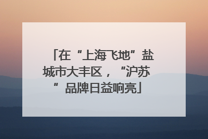在“上海飞地”盐城市大丰区，“沪苏”品牌日益响亮