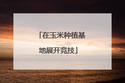 在玉米种植基地展开竞技