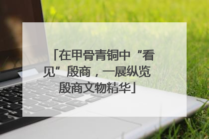 在甲骨青铜中“看见”殷商，一展纵览殷商文物精华