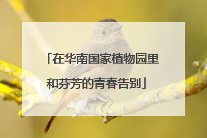 在华南国家植物园里和芬芳的青春告别